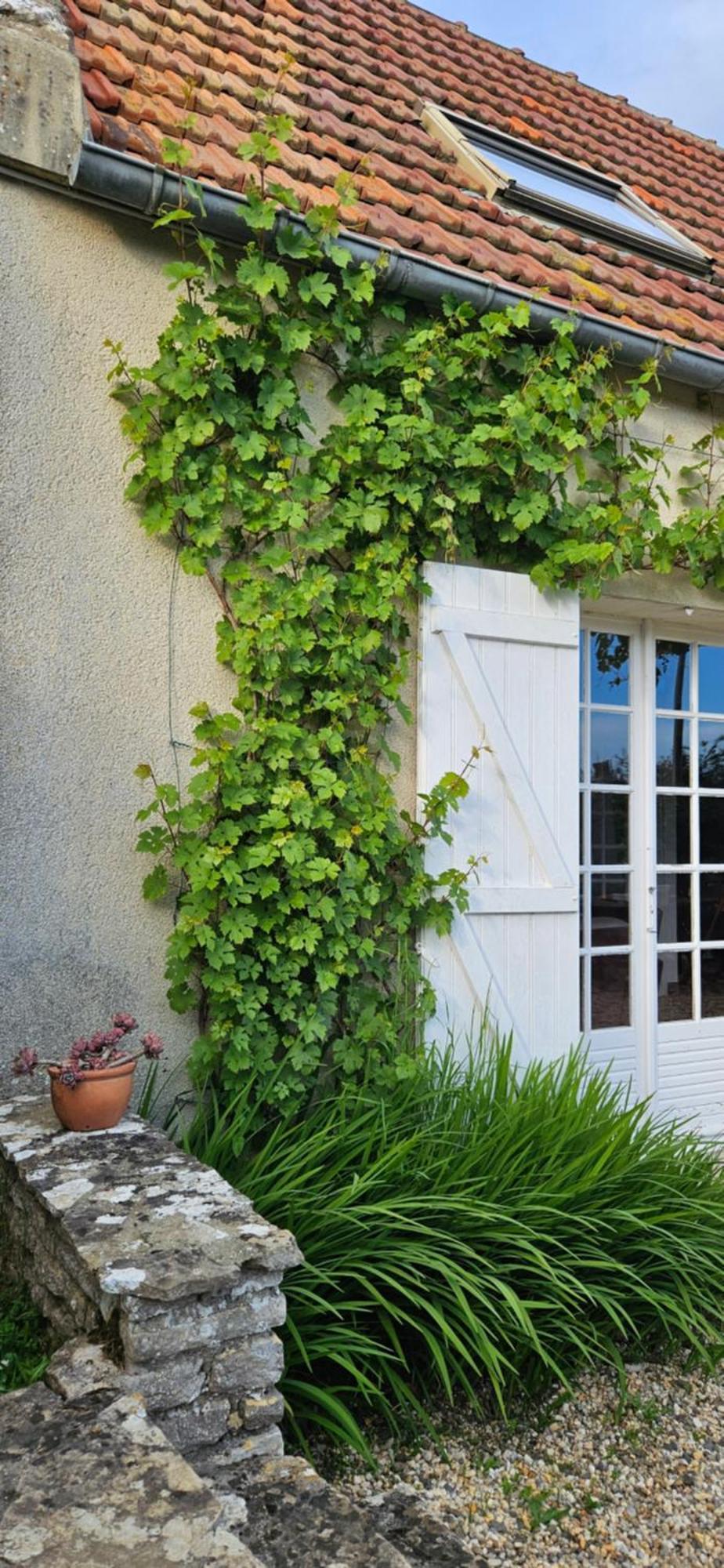 Vila La Petite Chouette Saint-Côme-de-Fresné Exteriér fotografie